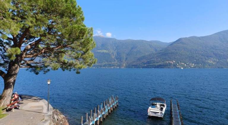 Holiday apartment with 1 room for 4 persons — photo 5
