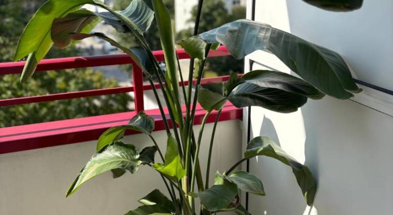 foto10