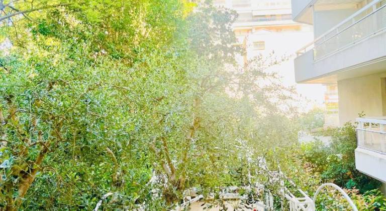 Rental apartment with terrace — photo 5