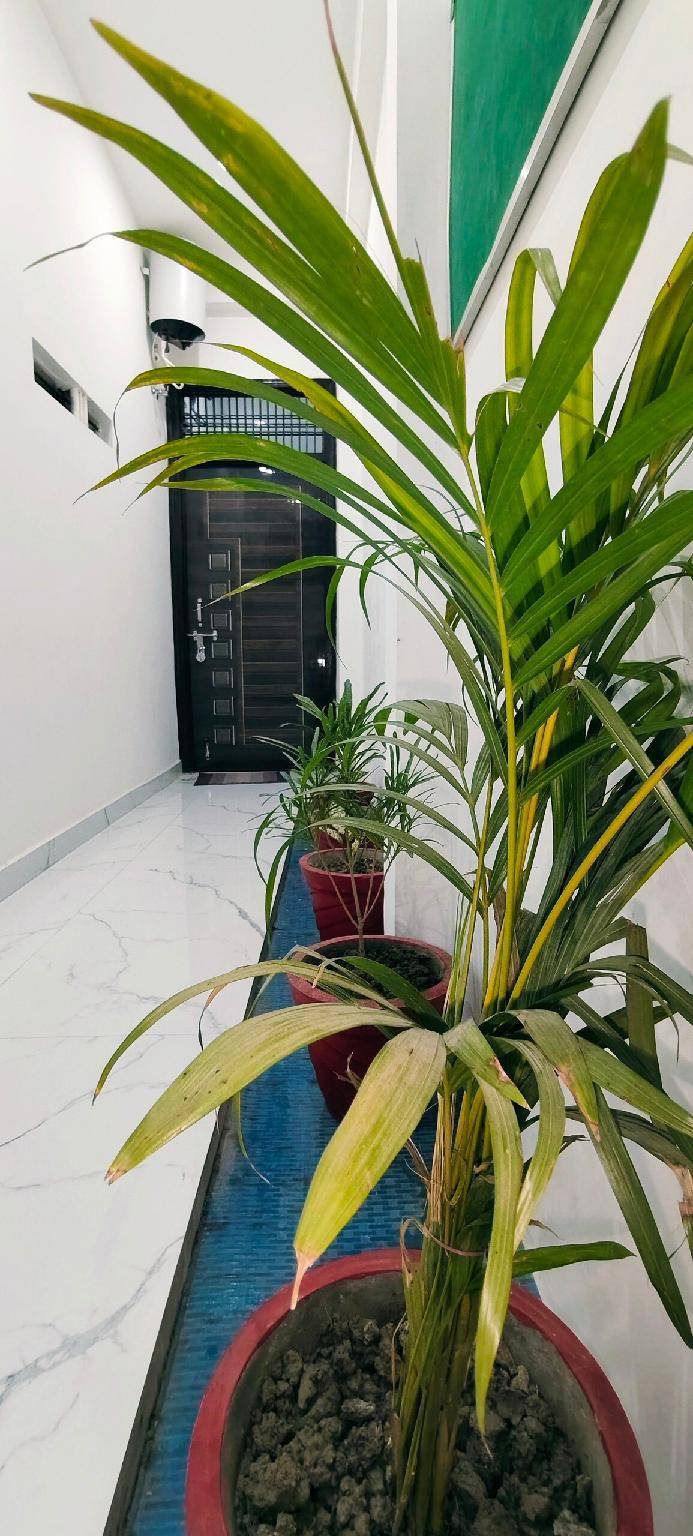 foto18