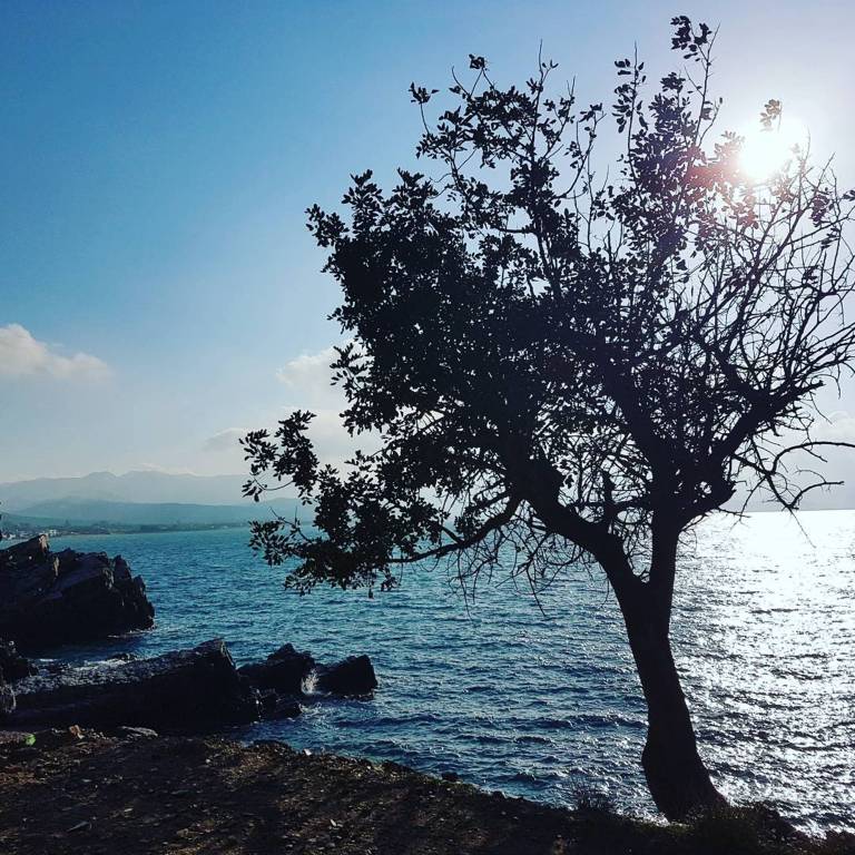 foto49
