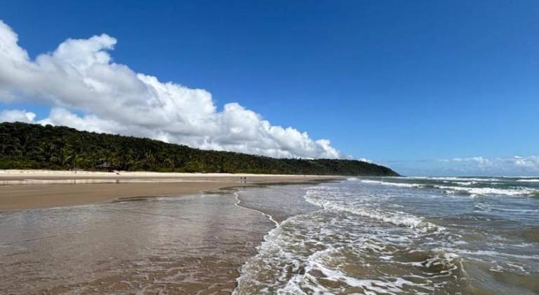 Vacation home | Dogs allowed in Ilhéus