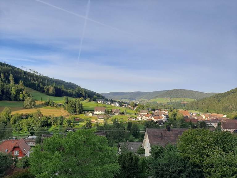 Ferienwohnung Baiersbronn