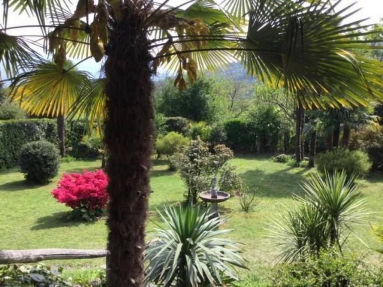 foto8