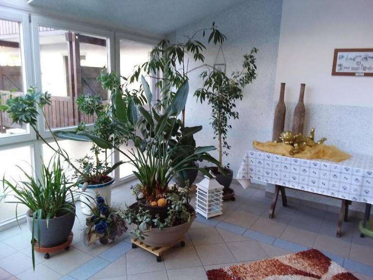 Apartment Bischofsmais