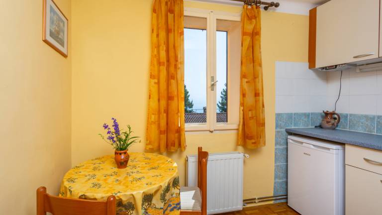 Rental apartment with grill, hot tub & yard — photo 4