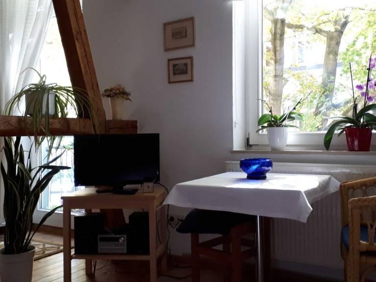Ferienwohnung Brühlervorstadt