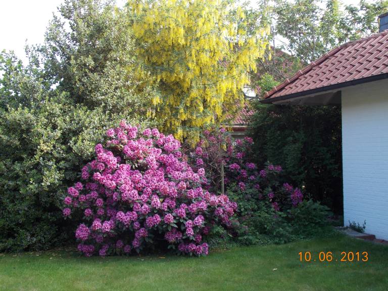 foto8