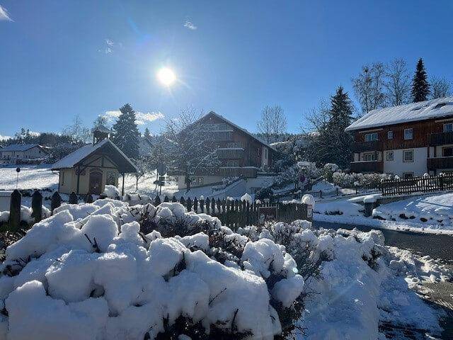 foto29
