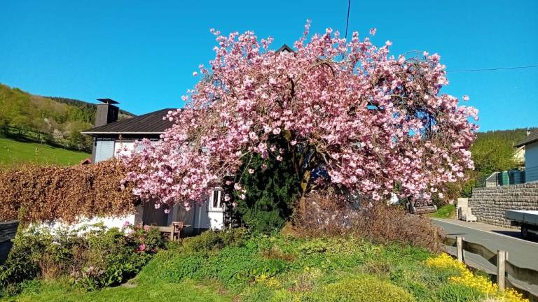 Ferienwohnung Hilchenbach