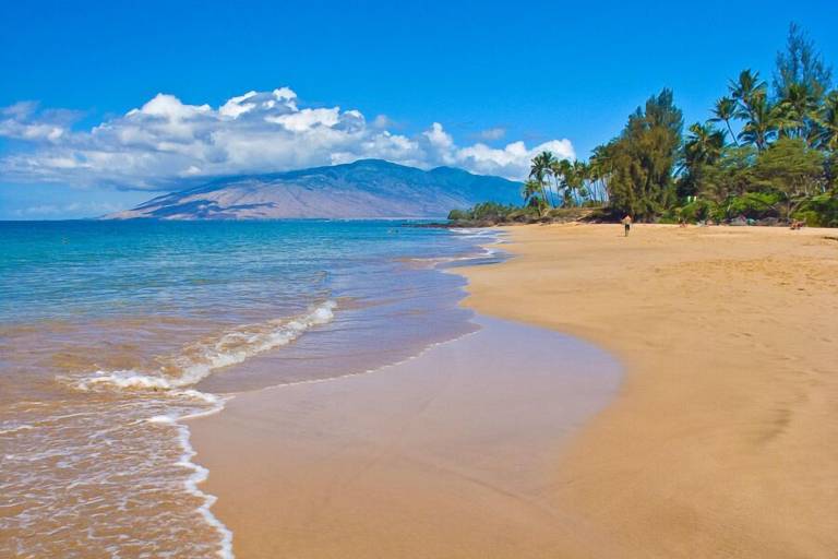 Condo Kihei