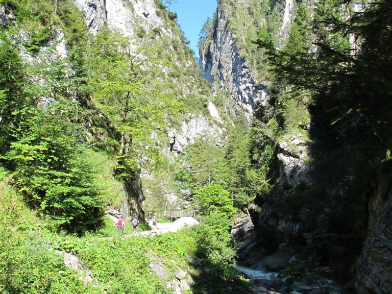 foto2