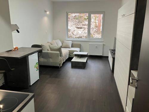 Apartmán Hroznětín