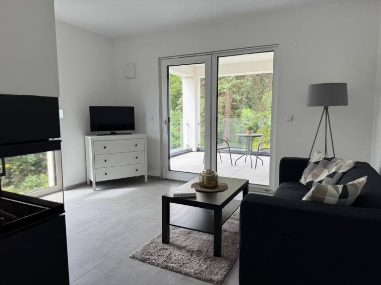 Living Apartment mit Kamin und Terrasse