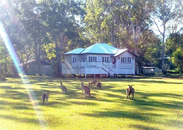 Cottage Peregian Beach