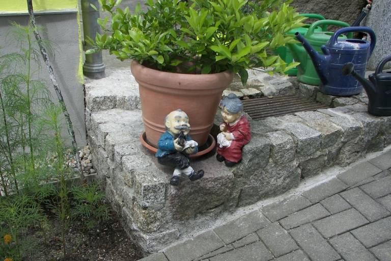 foto19