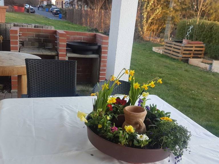 foto11