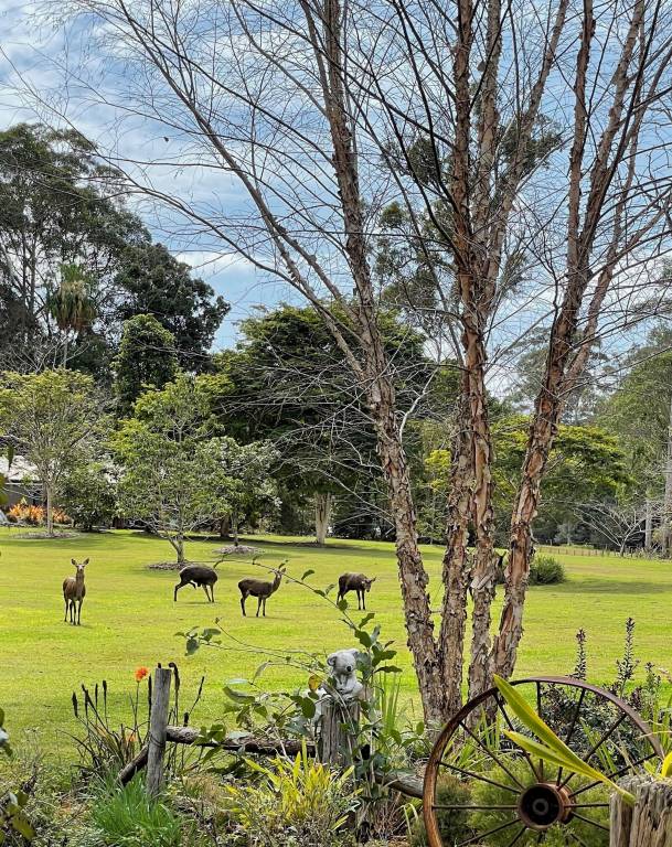Cabin Eumundi