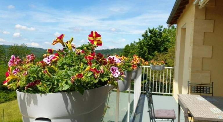 Vacation home with pool | Pet-friendly — photo 4