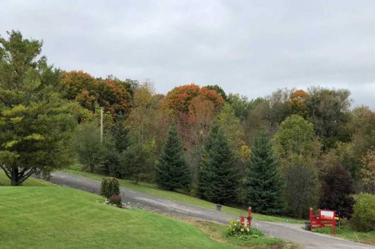 foto13