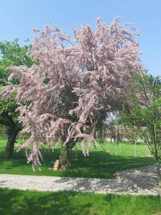 foto35