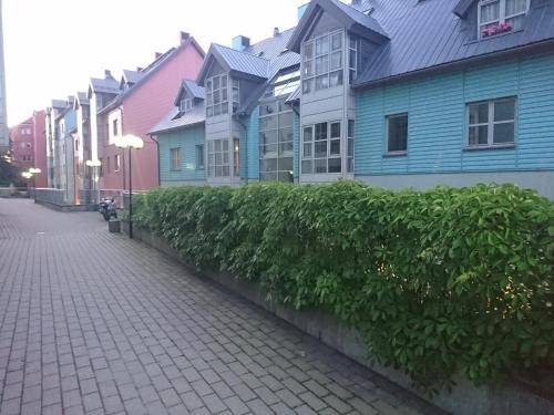 foto5