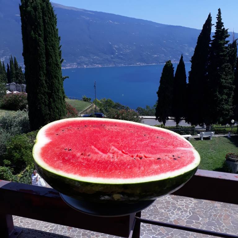 foto10