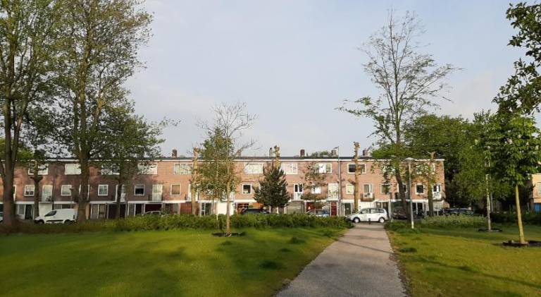 Mi BnB Amsterdam — photo 2