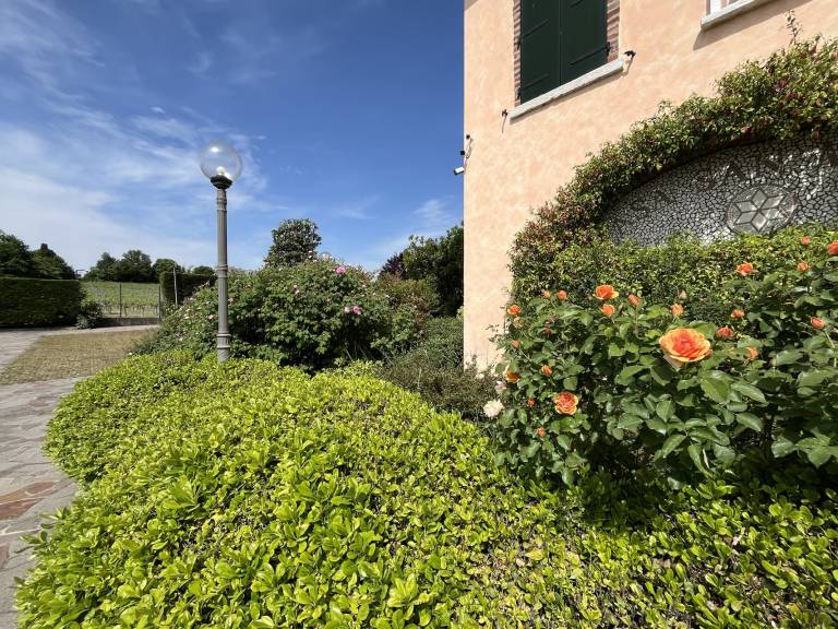 Agriturismo Sommacampagna