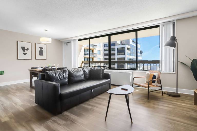 Stylish Apt in Crystal City