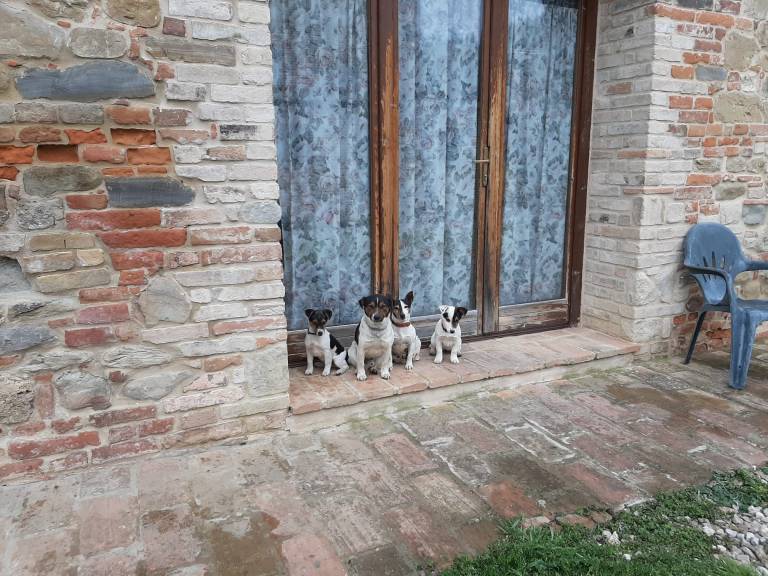 foto5