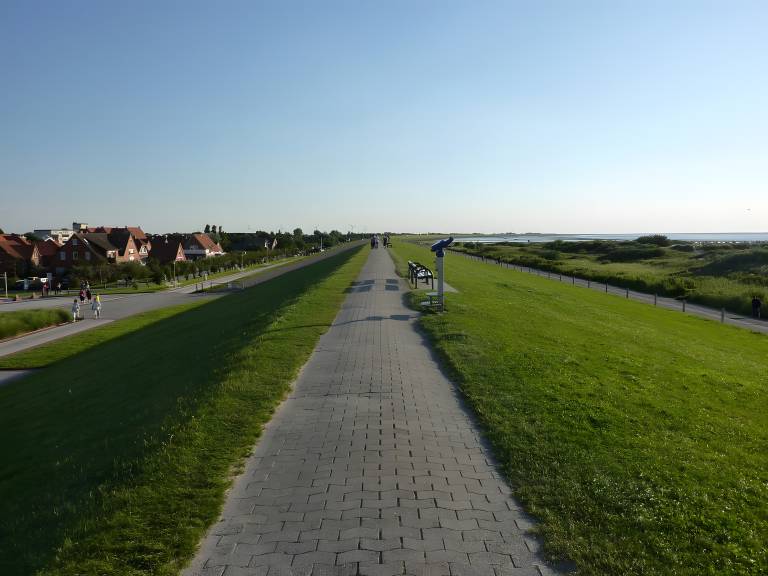 foto7