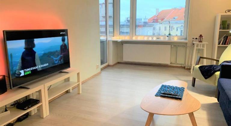 Holiday apartment | Next to Town Hall Square | Pets allowed — photo 2