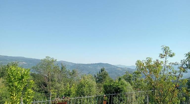 foto18