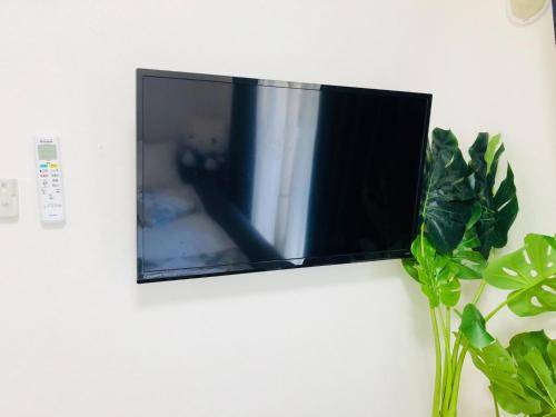 foto11