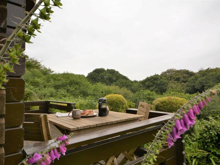 Pleasant lodge | Dogs allowed — photo 2