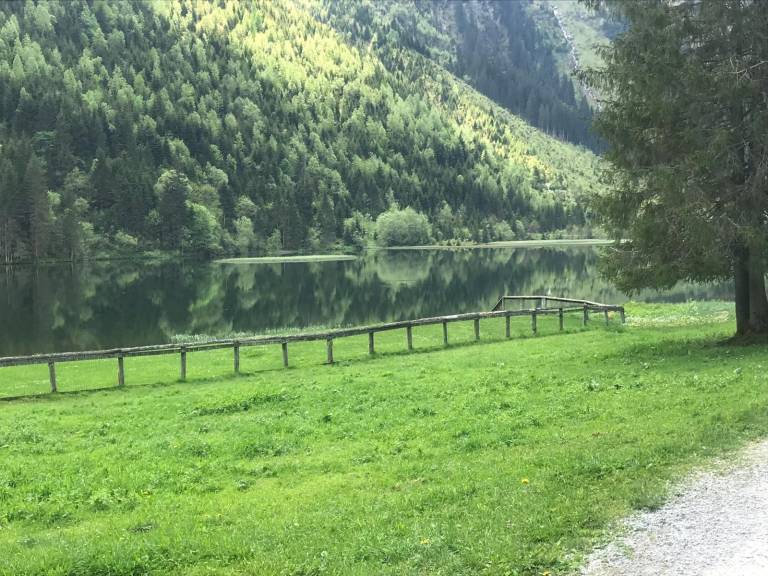 foto38