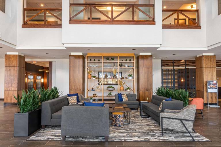 Drury Plaza Hotel Dallas Arlington — photo 4