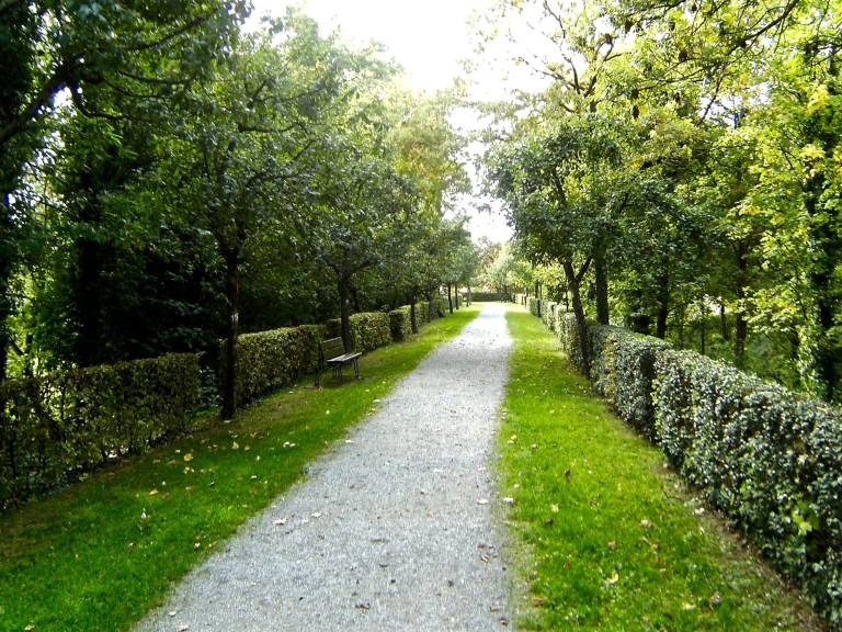foto12