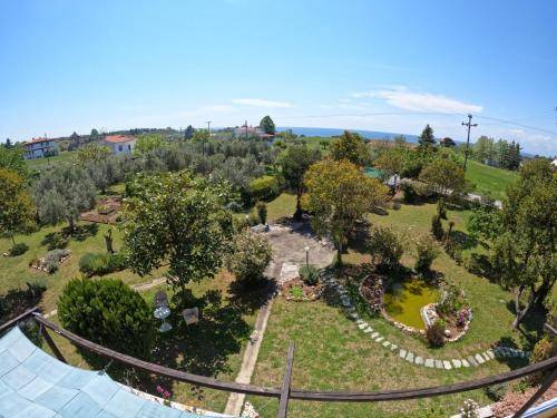 foto7
