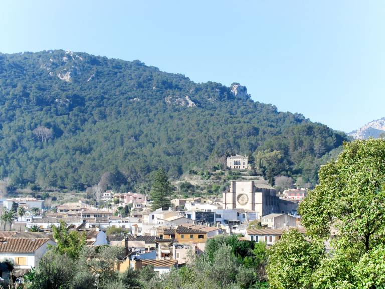 foto19