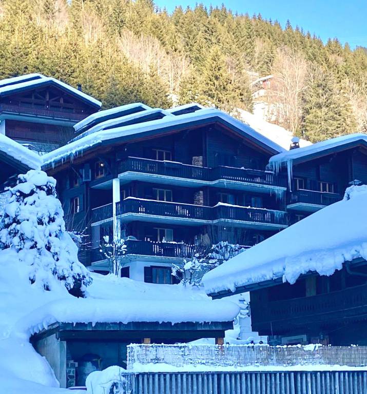 Apartment  Morgins