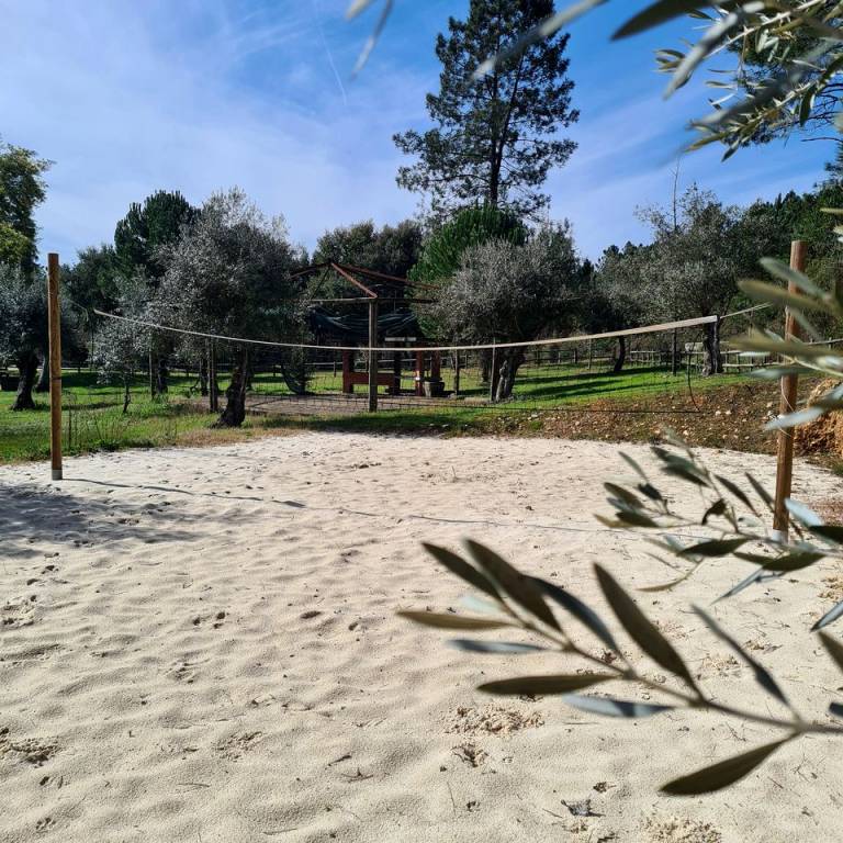 foto40