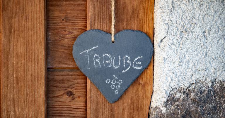 Gstrein-Hof: Traube — photo 2
