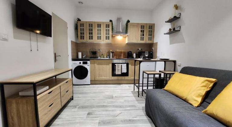 Wonderful rental apartment | Next to Popes' Palace | Pets allowed in Avignon