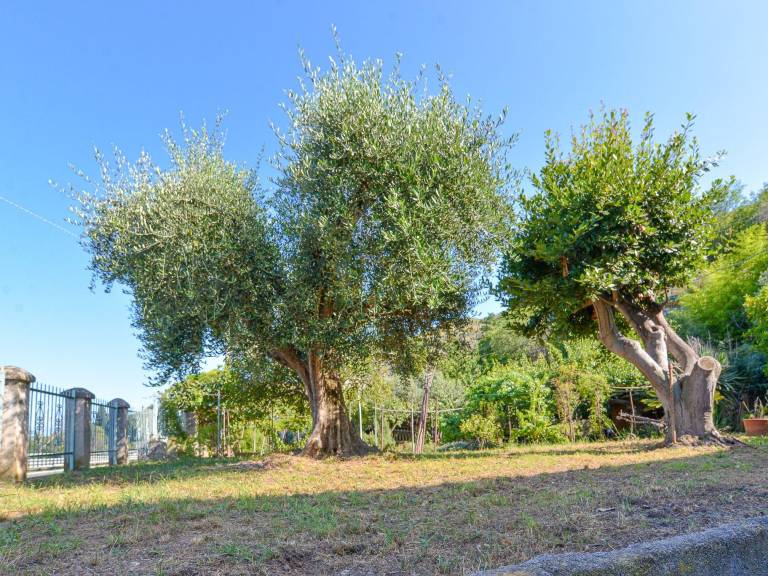 Appartamento vacanza Pietra ligure