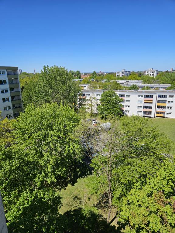 foto2