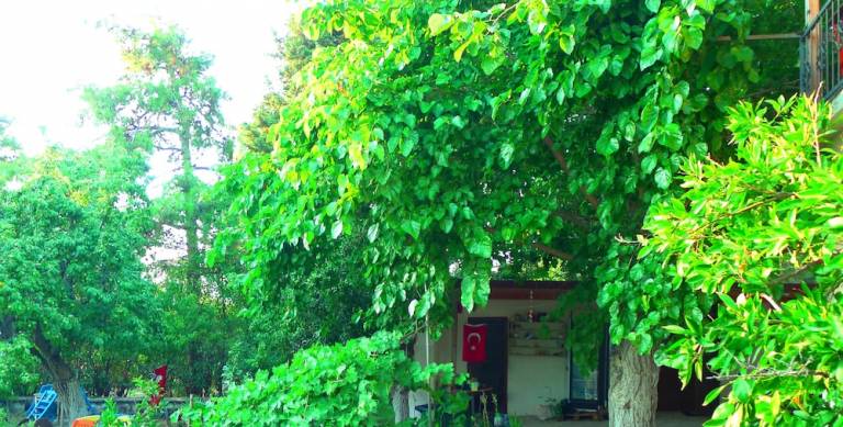 Apartment Fatih Mh.