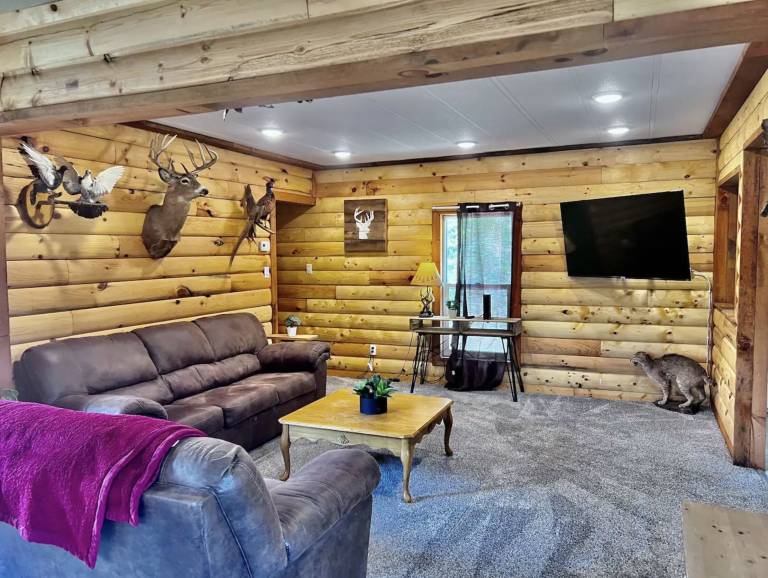 Cabin Lansing
