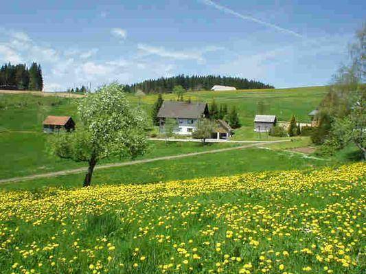 Ferienwohnung Titisee-Neustadt